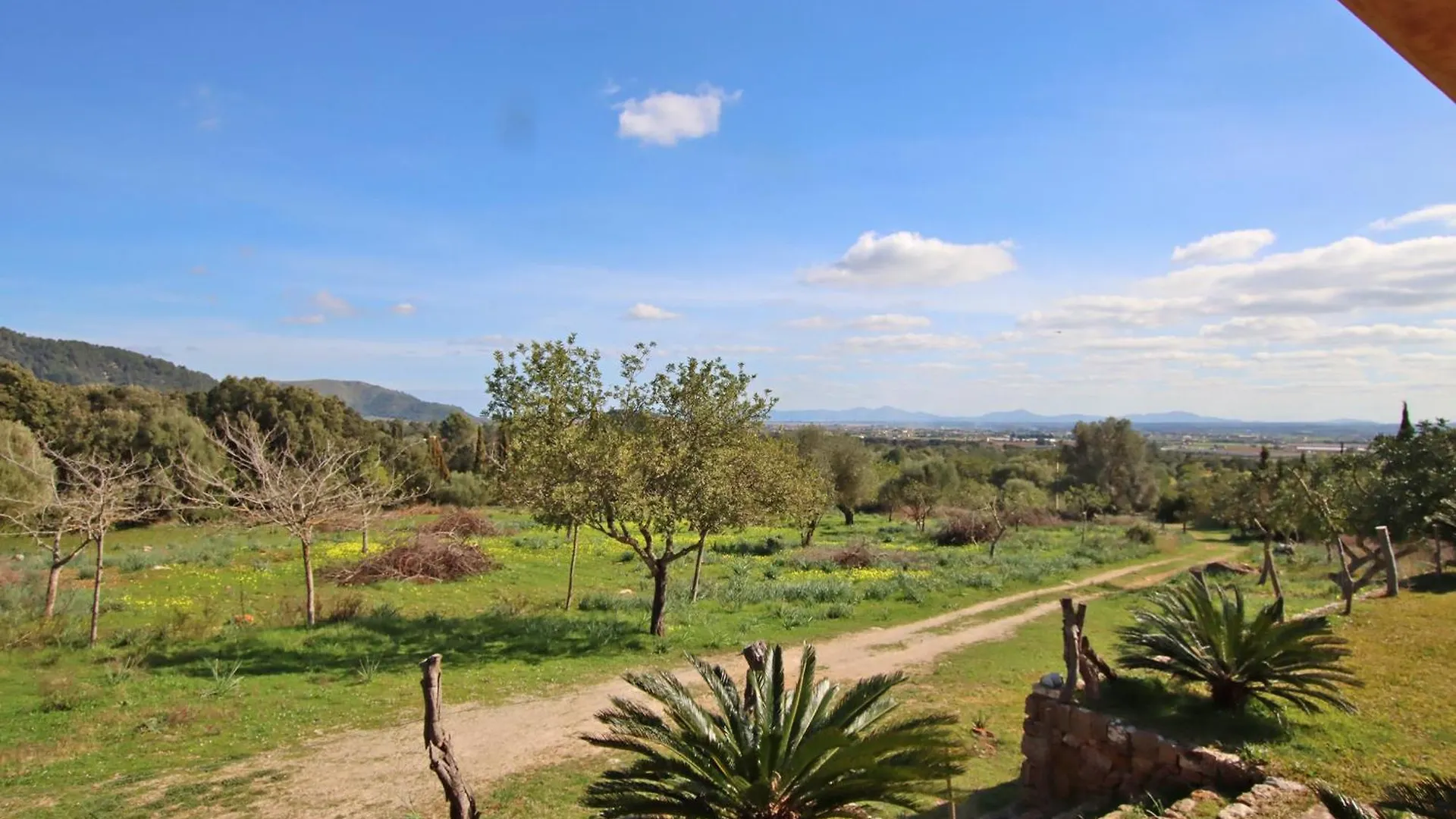 Villa Es Bosquet By Slow Villas Crestatx